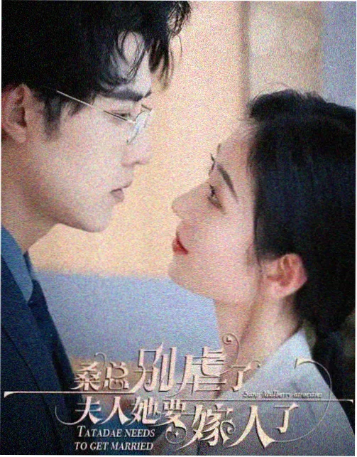 山雾观测站剧集封面